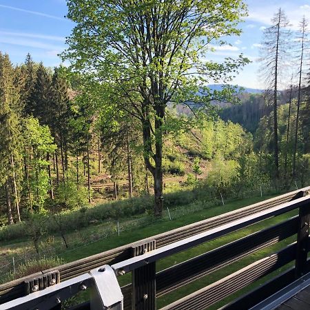 Fewo Nartura: Modern - Idyllisch - Stilvoll - Ruhig Санкт-Андреасберг Екстер'єр фото