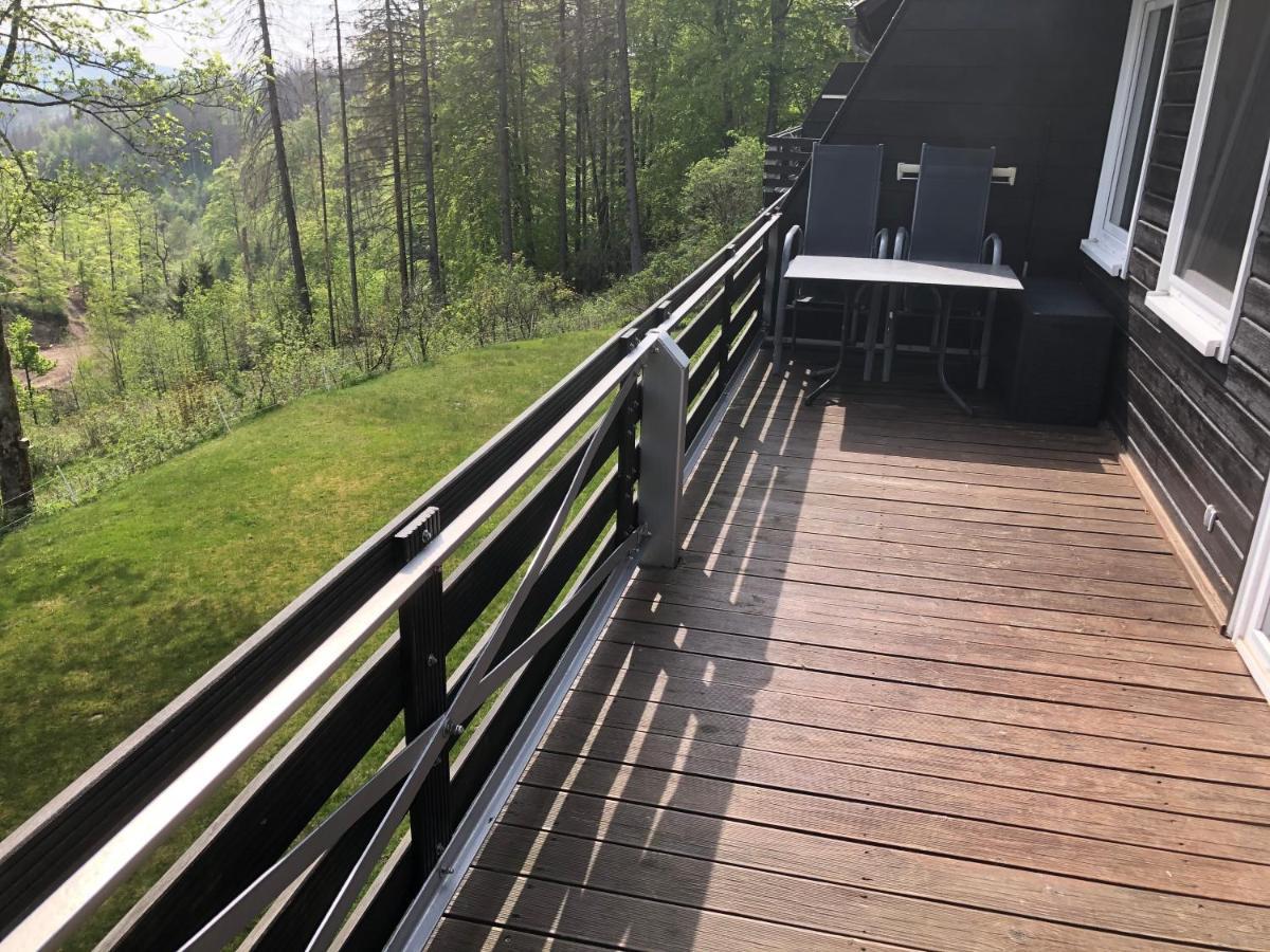Fewo Nartura: Modern - Idyllisch - Stilvoll - Ruhig Санкт-Андреасберг Екстер'єр фото